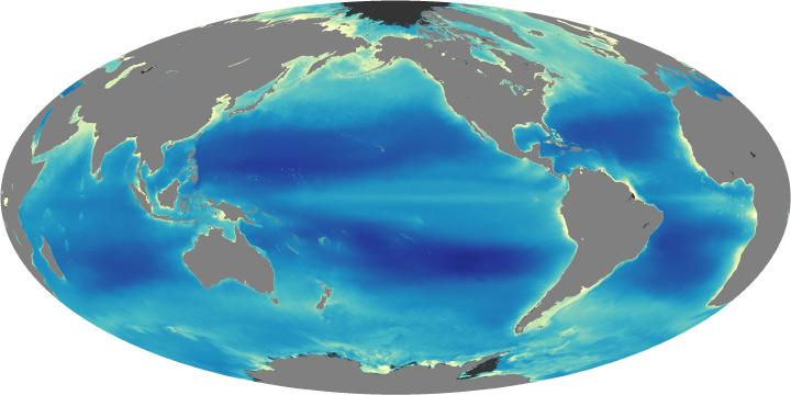 Studying Phytoplankton (Patterns and Cycles) Factors affecting concentration of phytoplankton: Seasonal changes High latitudes: concentrations peak during spring and summer due to increased