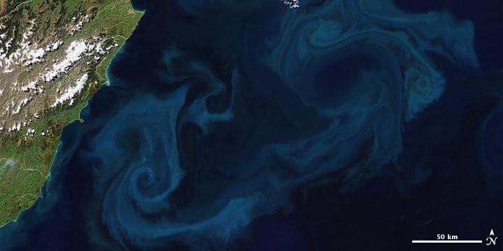 Phytoplankton bloom as seen by satellite This pair of