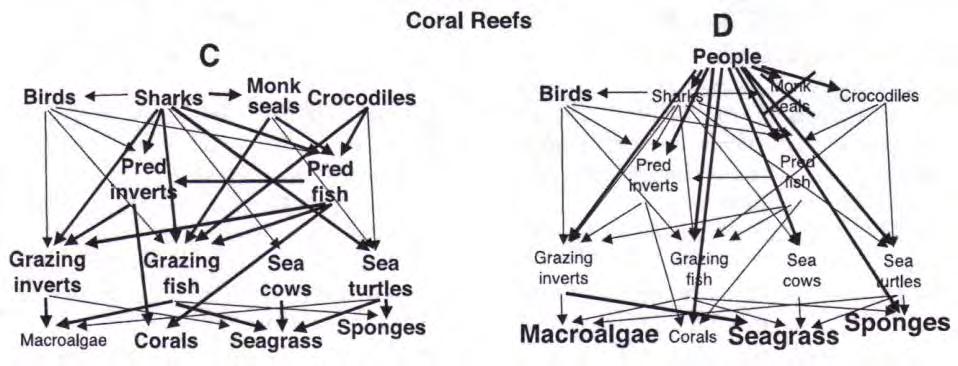 Coral Reefs: Stressors Natural vs human- modified coral reef food web Before