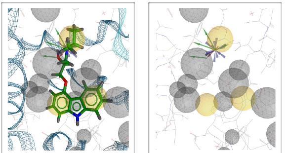 Feature-based pharmacophore models Features:
