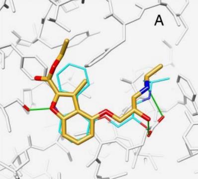 Molecular docking: example β 2 -adrenoreceptor ligands 972 608 ZINC compounds DOCK diversity selection 500 compounds 25 compounds K i < 4μM 6