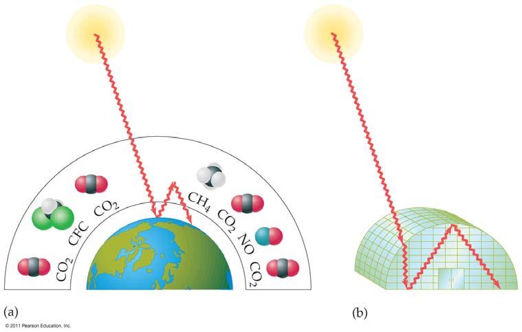 The Greenhouse Effect Several gases contribute to the greenhouse effect. High energy radiation strikes Earth s surface, and is converted to heat.
