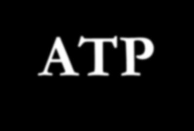 ADP ATP Low-Energy