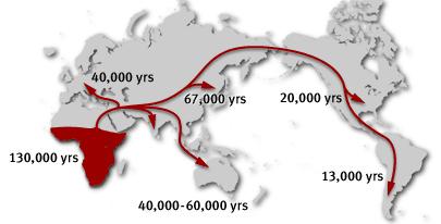 population genetics (numbers are millennia