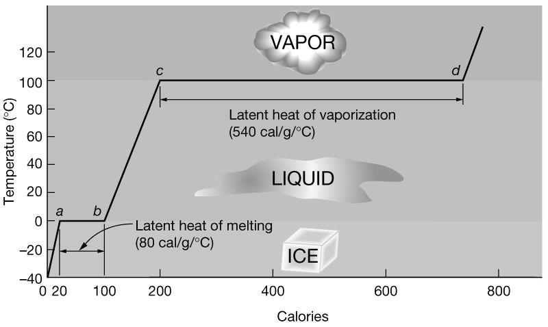 Latent H of melting regulates ocean temperature, and thus global temperature Latent H of vaporization
