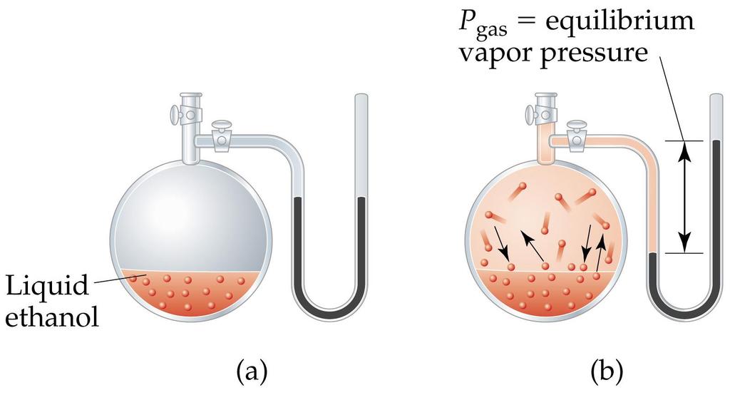 Vapor Pressure Explaining Vapor