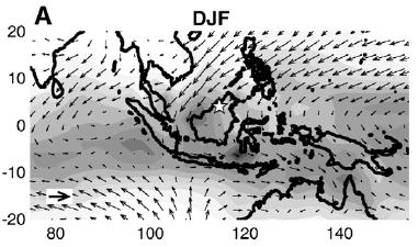 Rainfall at Gunung Mulu National