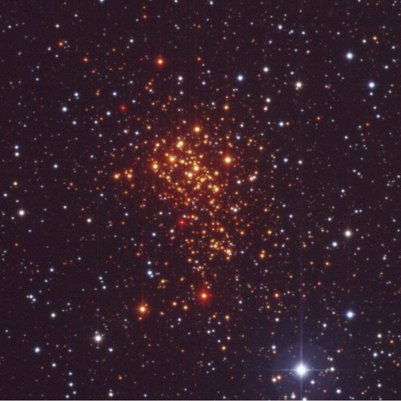 Westerlund 1 Westerlund 1 (Wd1) is a highly reddened (A v ~10 mag) young, compact Galactic cluster.