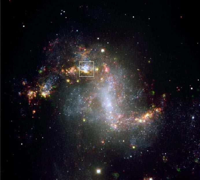 NGC 1313 WR population of