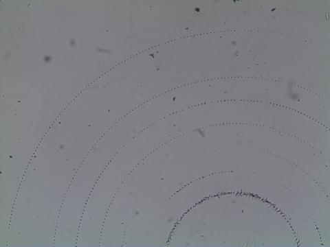 Laser Interaction Region ( m) 25.34 J/cm 2 377 m 309 m 257 m 525 m 343 m 429 m 172 m Figure 112 Porcine capsular microscopy for 25.