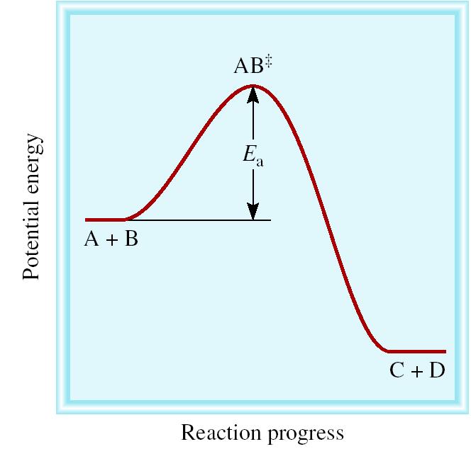 Exothermic Reaction + A + B AB C + D