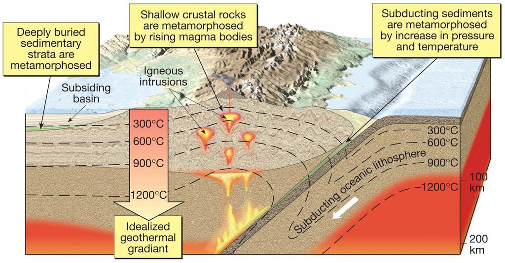 Burial Metamorphism This is a low grade metamorphism that typically begins when the subducted