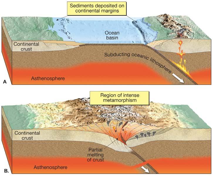 Regional Metamorphism The mountain building applies differential stress literally over a wide regional area Sediments
