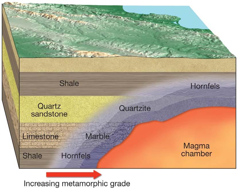 Contact Metamorphism The sedimentary rocks are