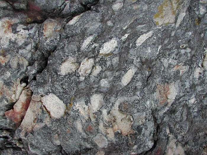 Photo by Rock Composition On some upper surfaces (perpendicular to the lineation) there are pebble-sized blobs of light-colored rock (Figure 12) embedded in darker gray rock.