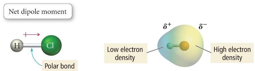 other. When the electronegativities are not equal, electrons are not shared equally and partial ionic charges develop.