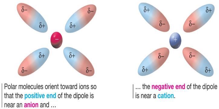 London dispersion (nonpolar molecules) *Ion-ion interaction between ions - electrostatic interaction between two permanent