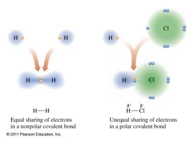 Nonpolar Covalent Bonds Using the periodic table, predict the order of increasing electronegativity for the elements O, K, and C.