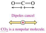 Fifth Edition Nonpolar Molecules A nonpolar molecule may contain identical atoms (nonpolar bonds) may have a symmetrical arrangement of