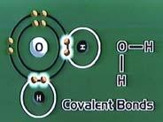 The shapes and chemical structure of the bases allow hydrogen bonds to form optimal only between adenine (A) and thvmine (T)