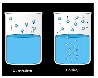 Vaporization There are two types of vaporization of water.