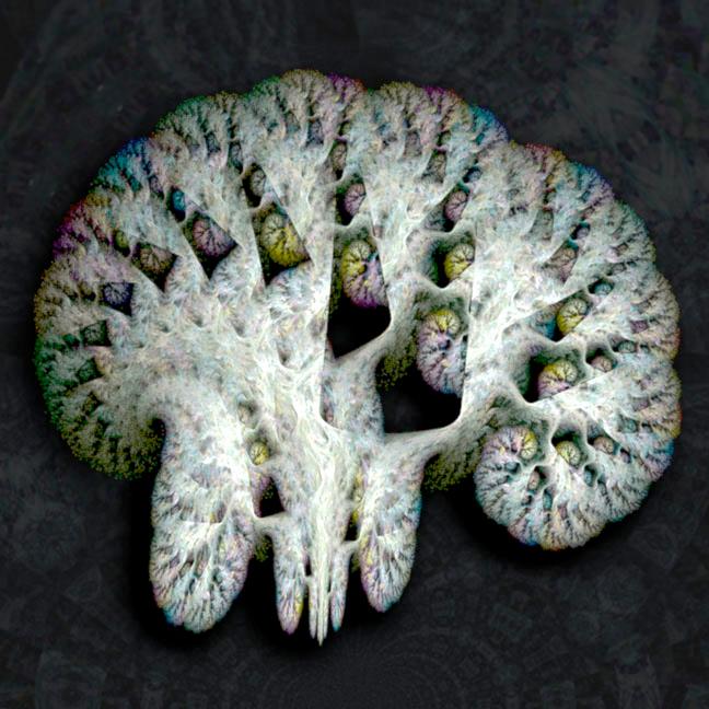 Brain as a biofractal