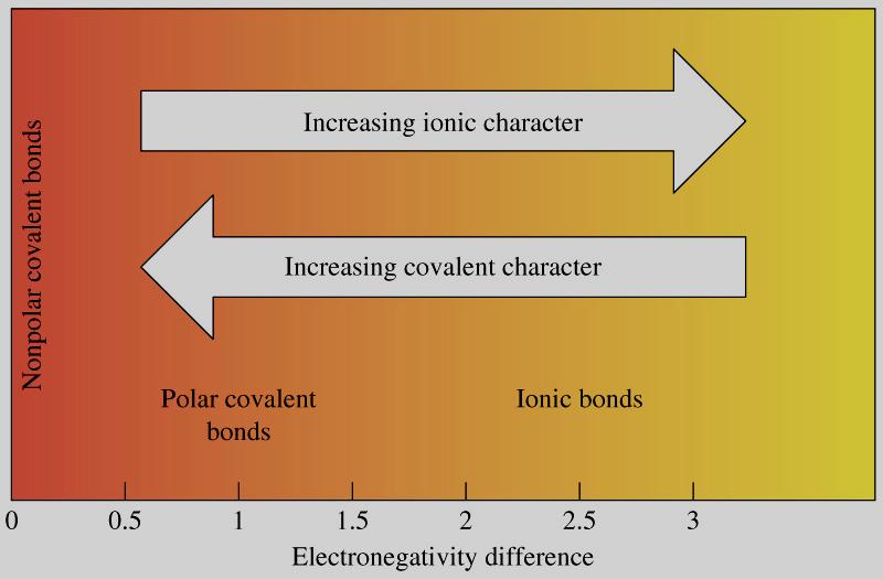 Electronegativity and Bond