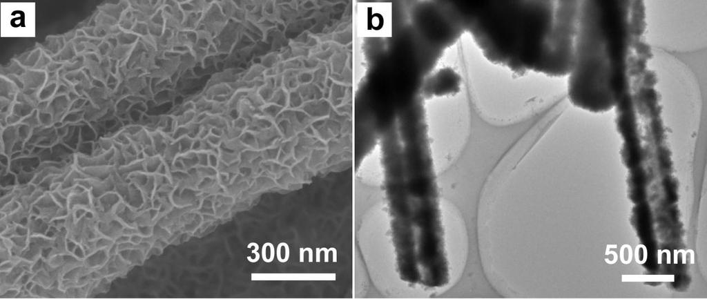 Figure S1. FTIR spectra of the MoO 3 -EDA inorganic-organic nanowires and the as-prepared hierarchical nanosheet-based MoS 2 inorganic nanotubes.