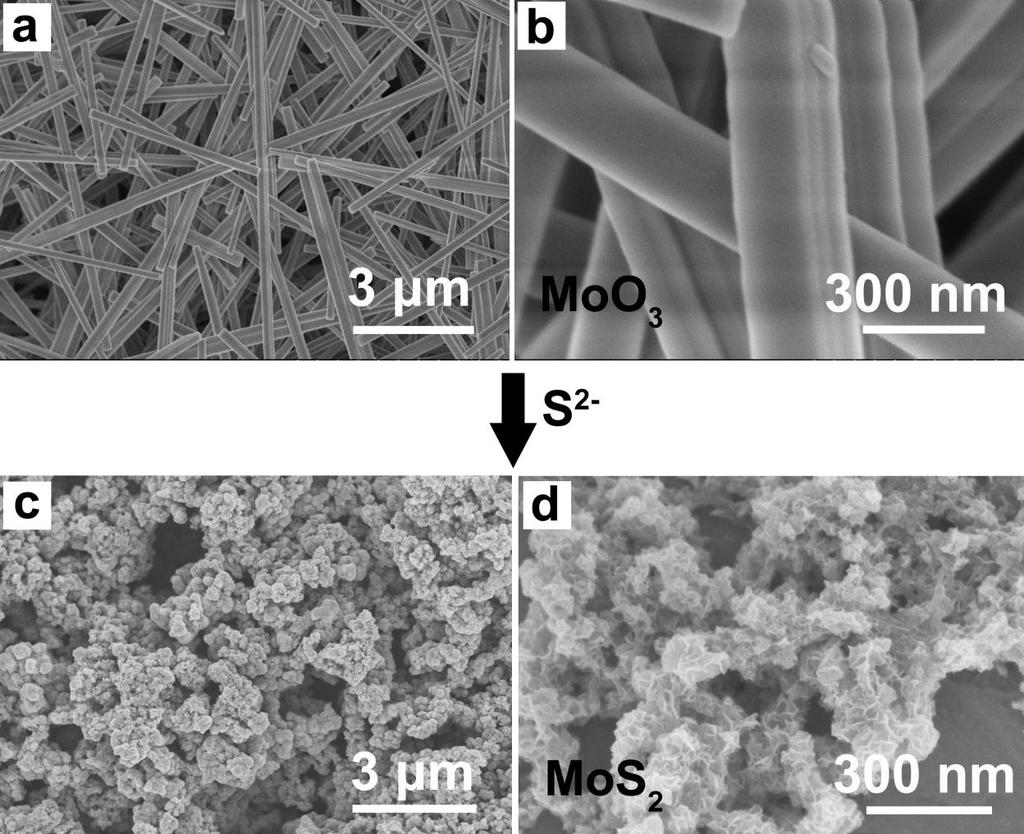 Figure S5. a,b) SEM images of MoO 3 nanowires synthesized by using the reported method (C. Zhang, H. B. Wu, Z. Guo, X. W. Lou, Electrochem. Commun. 2012, 20, 7-10.