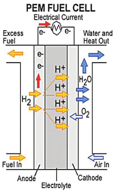 Figure 1. Diagram of PEMFC. Source: The Fraser Domain. both the membrane and the GDL. The gas diffusion layer provides the fuel and oxidant a pathway to the catalyst layer and conducts electrons.