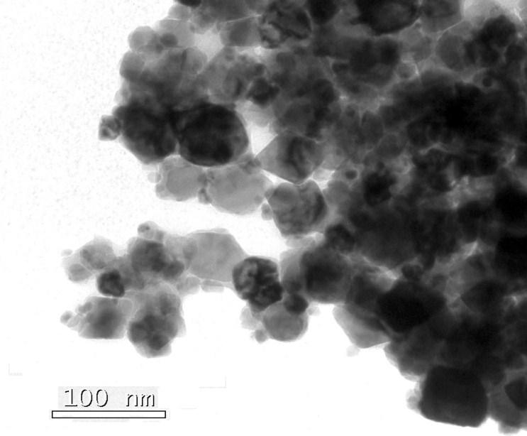 The TEM image is clearly depict the formation of superstructure on the magnetite nanoparticles.