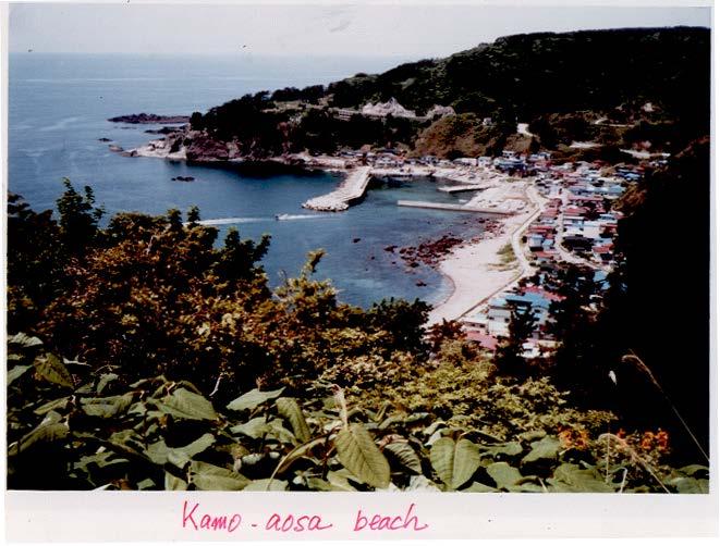 Oga peninsula, Kamo-aosa beach; 14