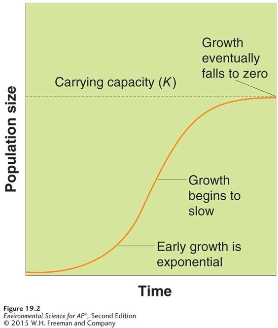The Logistic Growth Model * The logistic growth model. A small population initially experiences exponential growth.