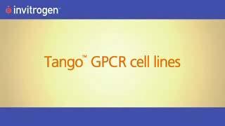 21 22 Technologies proposed now Example: Tango GPCR Assay System (Invitrogen( Invitrogen) Ligands for q or s coupled receptors can be screened relatively easily by expressing these receptors in
