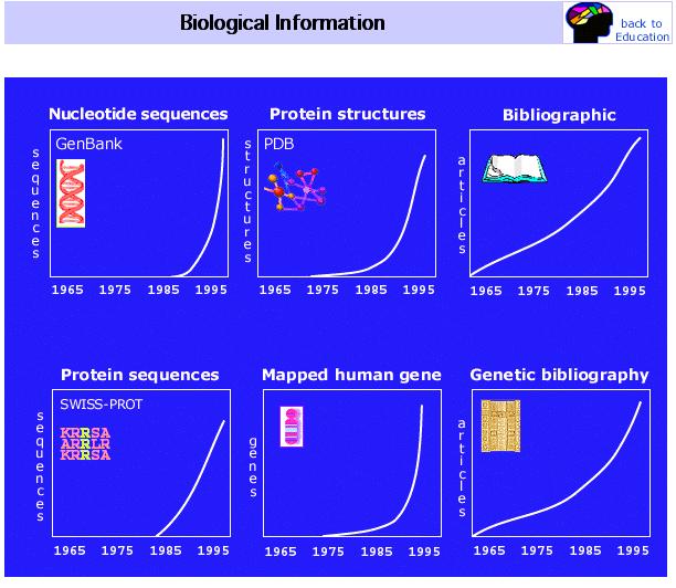 Exponential growth of biological information