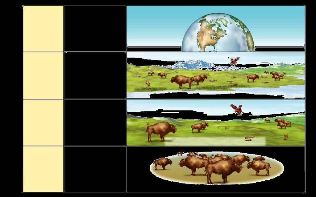 Levels of Organization Section 1-3 Biosphere Ecosystem The part of Earth that contains all ecosystems