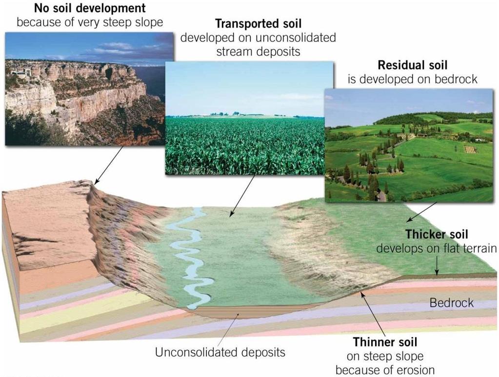 Controls of Soil Formation Parent material, time, climate,
