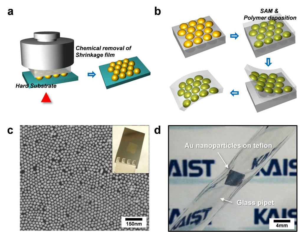 Supplementary Figure 14 Substrate transfer of nanoparticle ensemble visible metamaterials onto hard or soft substrate.