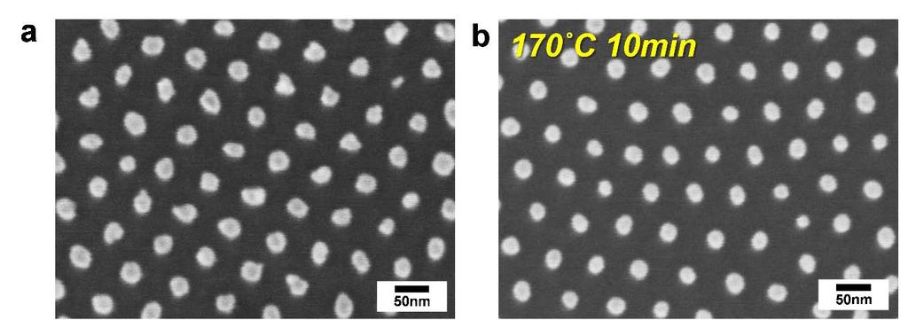 Supplementary Figure 4 a, b, SEM images of Au nanoparticle arrays on