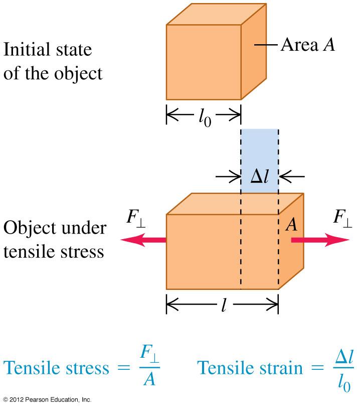 Tensile and compressive stress and strain Tensile stress = F /A and tensile strain = l/l 0.
