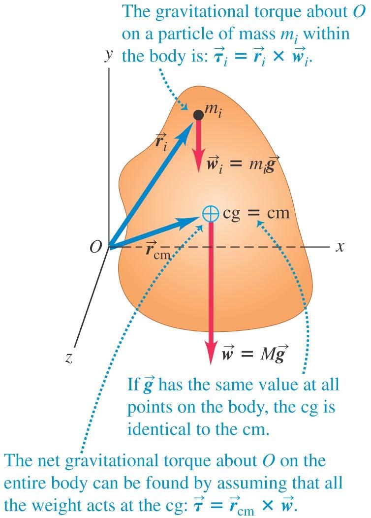 Center of gravity We can treat a body s weight as though it all acts at a single point the center of gravity.
