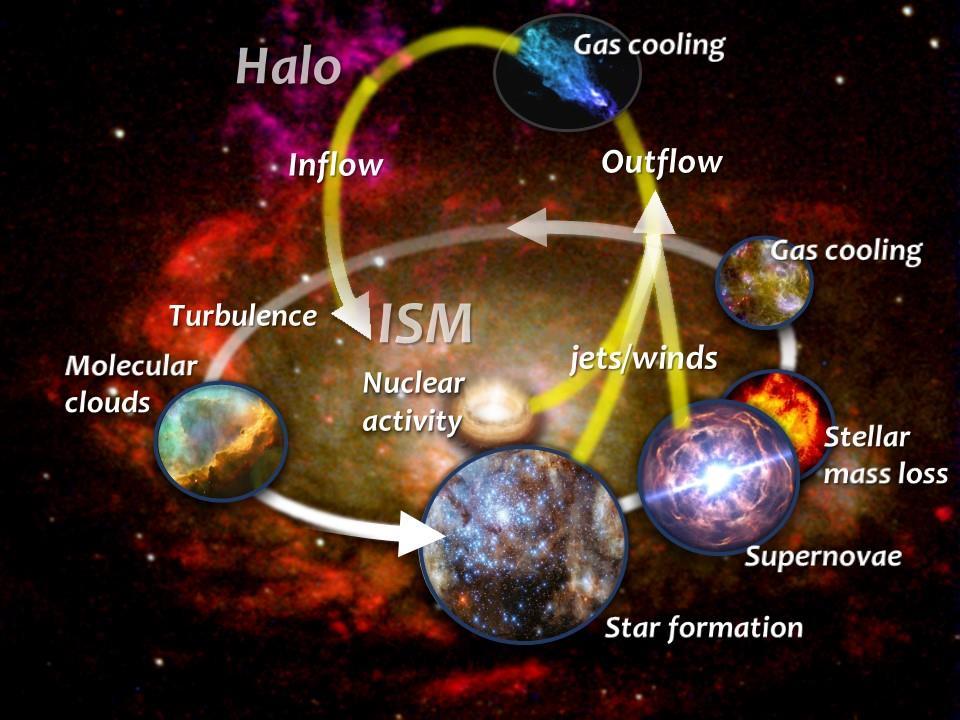 Figure 1: Schematic illustration of the role metals and dust play in the evolution of stars and galaxies.