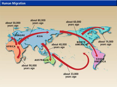 Origin of population structure Sarver World Cultures People geographically separate through