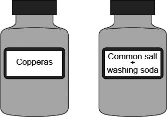Q5. Chemical tests can be used to detect and identify elements and compounds. Two jars of chemicals from 1870 are shown. (a) One jar contains copperas.