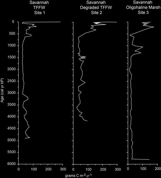 Carbon Accumulation Rates Savannah Wetland Sites Carbon accumulation rates varied during the late Holocene, but