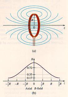 bundle of circular conductors having a radius R and a number N of turns, the magnetic field at a distance of z from the conductor is parallel to the axis, As shown in Fig.