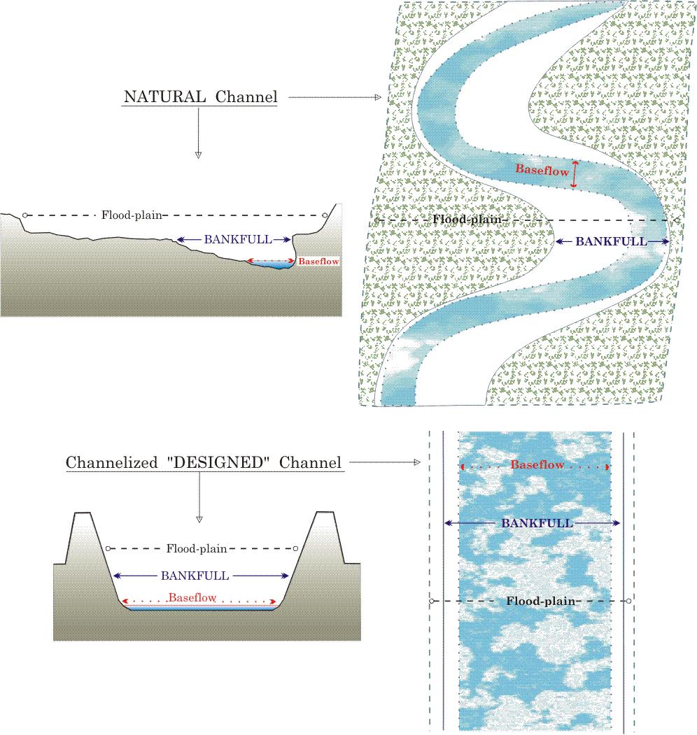 Shape of channel affects sediment transport Comparison of