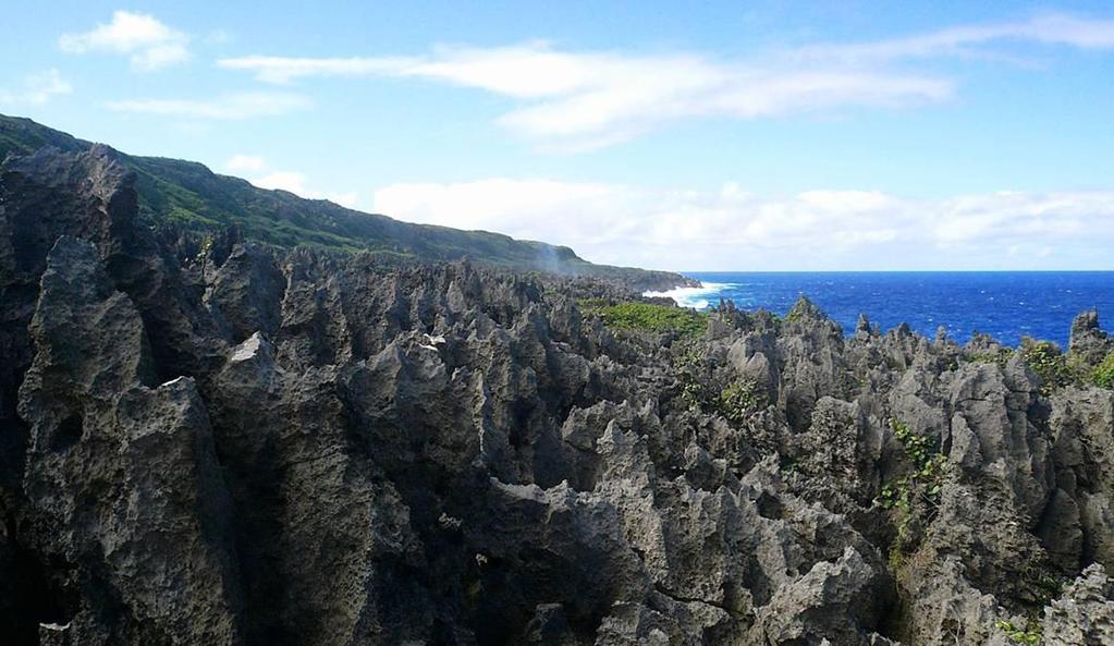 Karst terrain on the island of Niue