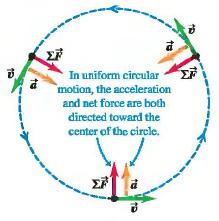 Centripetal Force The centripetal force always points toward the center of the circle about which the object moves with uniform speed.