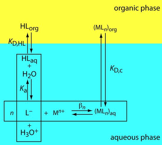 Figure 7.30 Scheme for the liquid liquid extraction of a metal ion, M n+, by the ligand L. The ligand initially is present in the organic phase as HL.